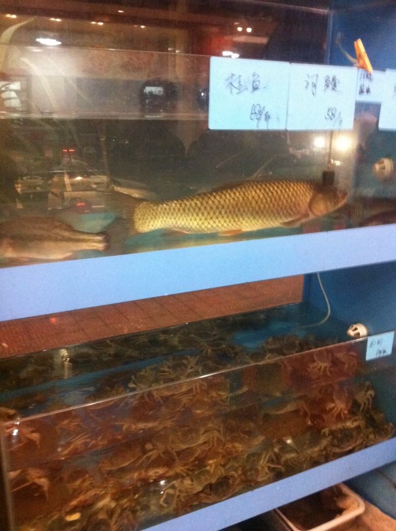 照片 275.jpg