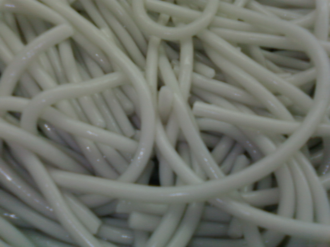 SP_A0120.jpg