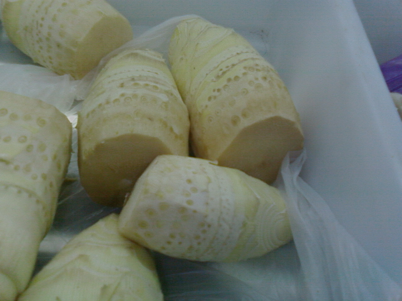 SP_A0143.jpg