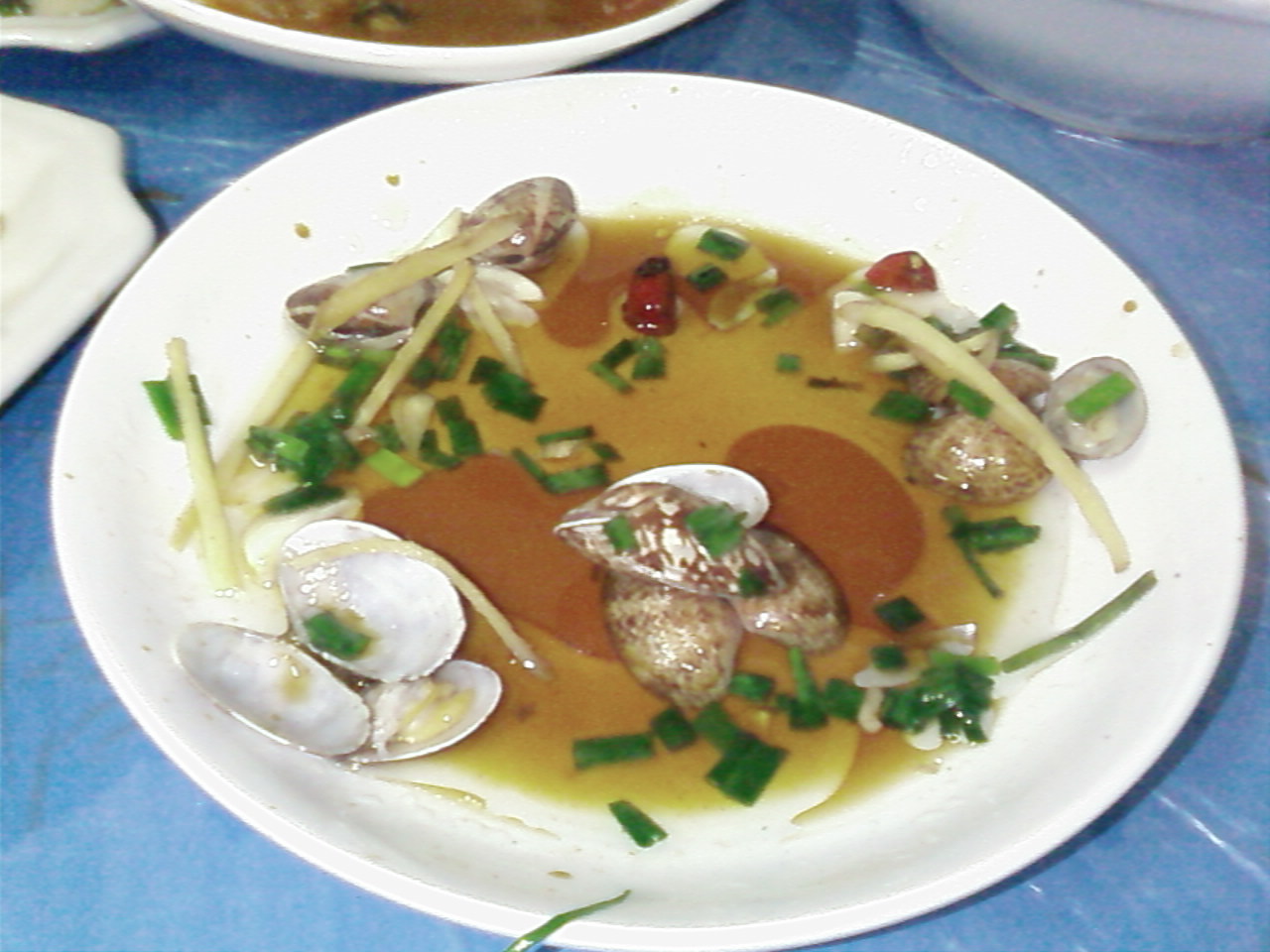SP_A0154.jpg