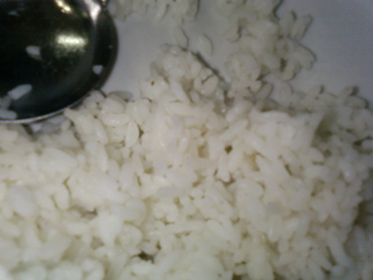 SP_A0155.jpg