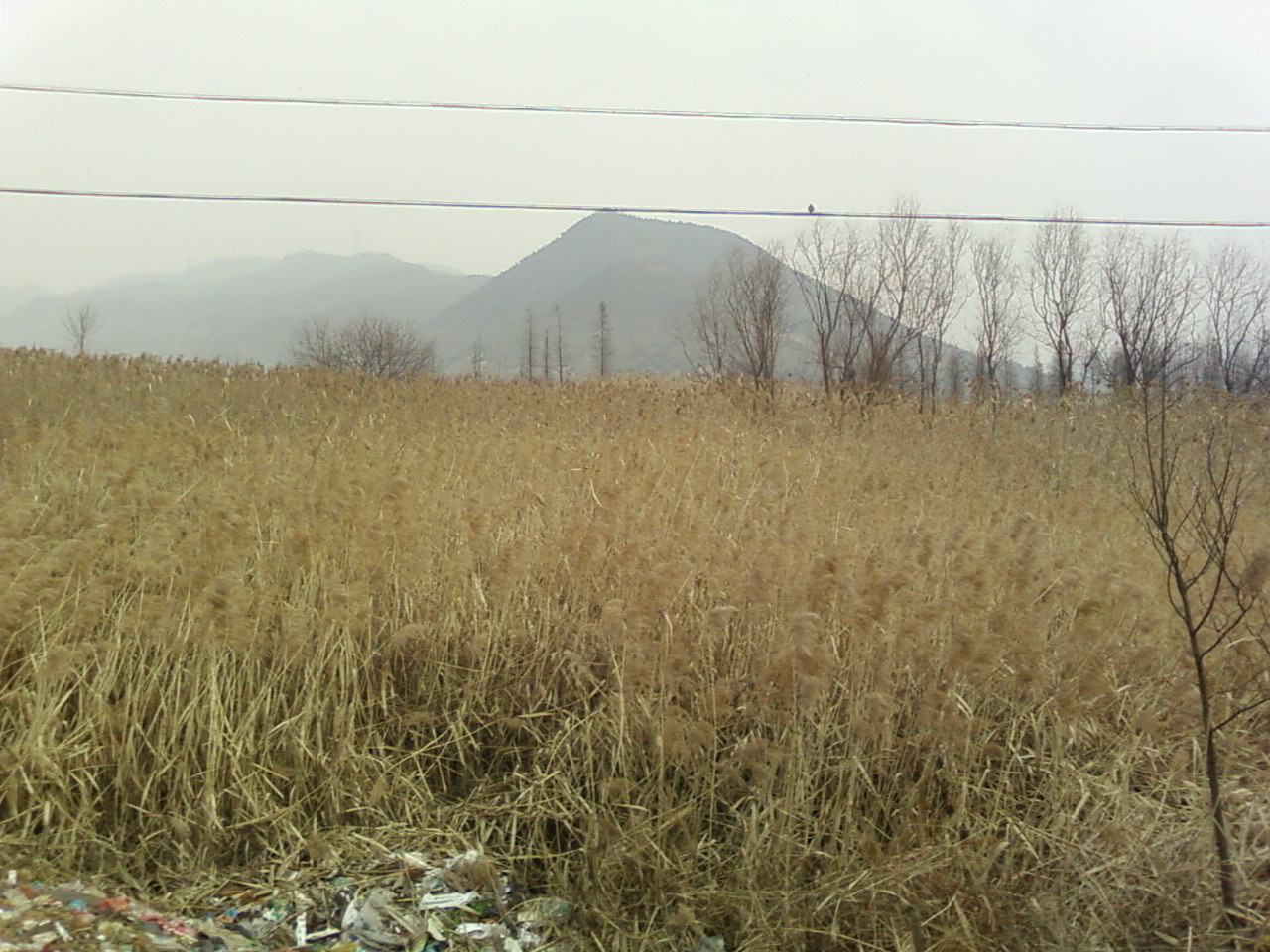SP_A0018.jpg