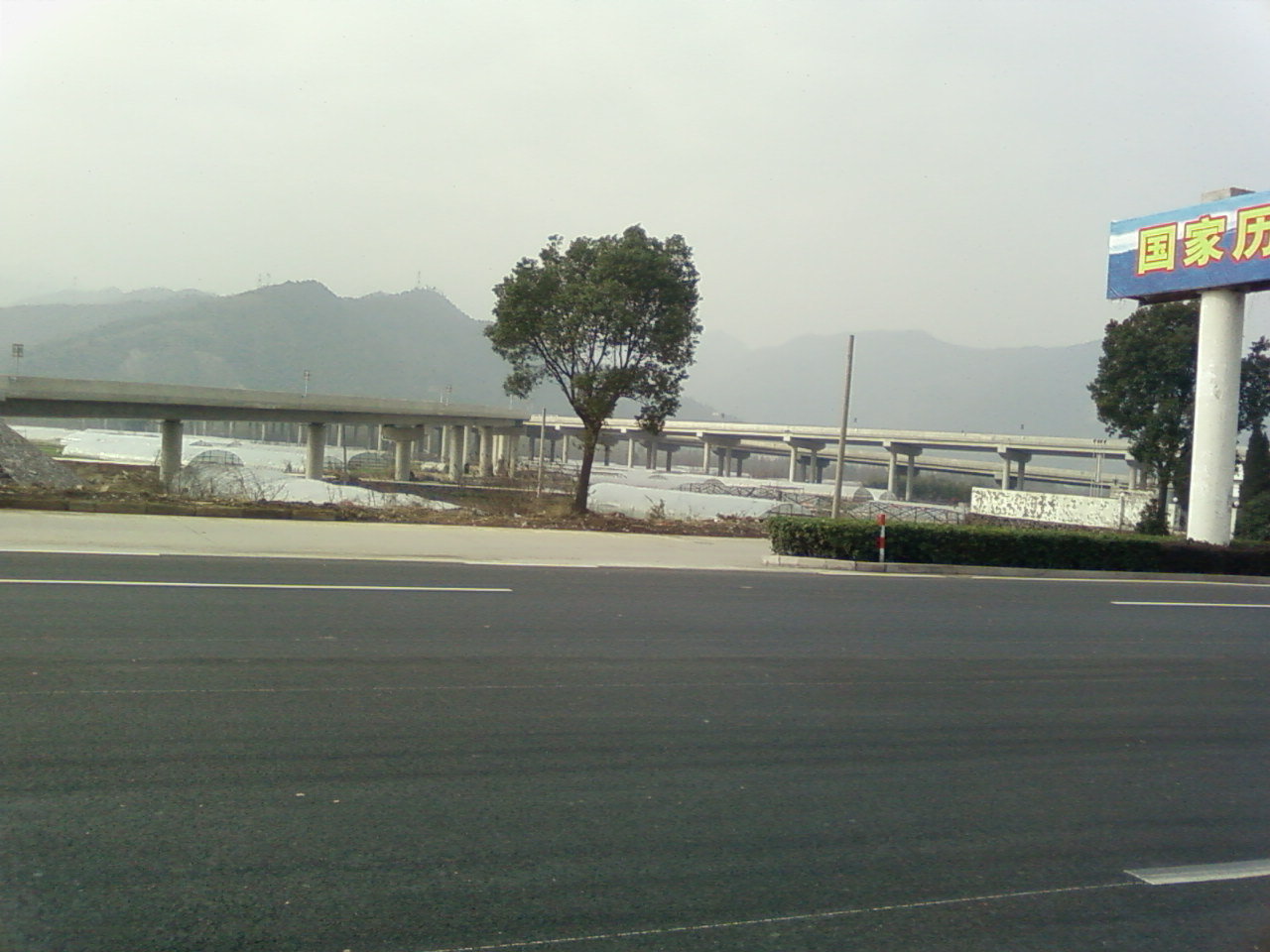 SP_A0025.jpg