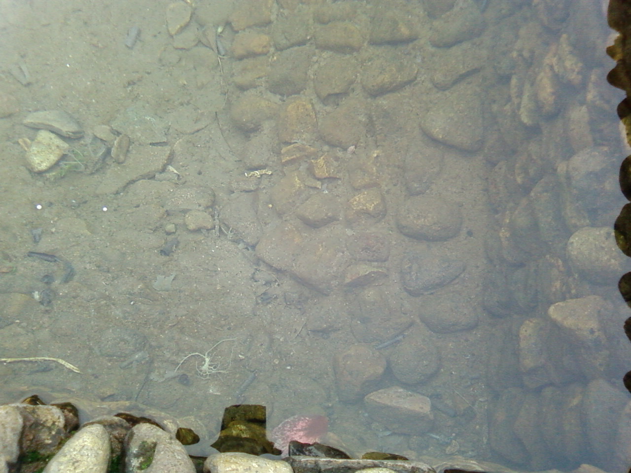 SP_A0047.jpg