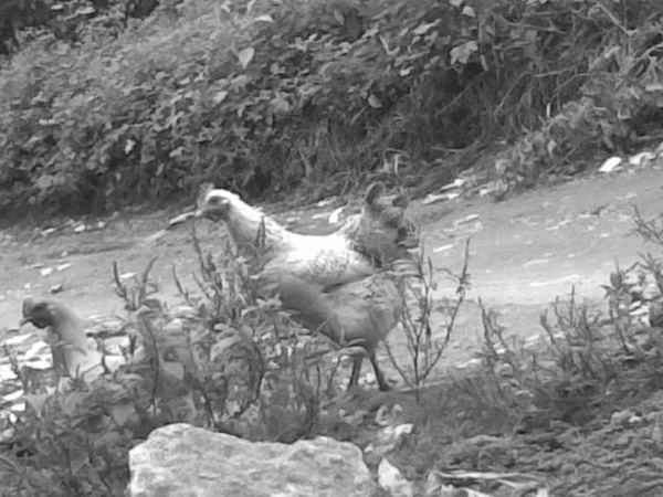 20101021185341.jpg