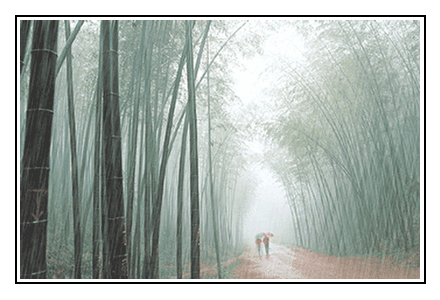 488bd005c7f9f1e67b8947b5.gif
