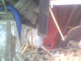 IMG0106A.jpg