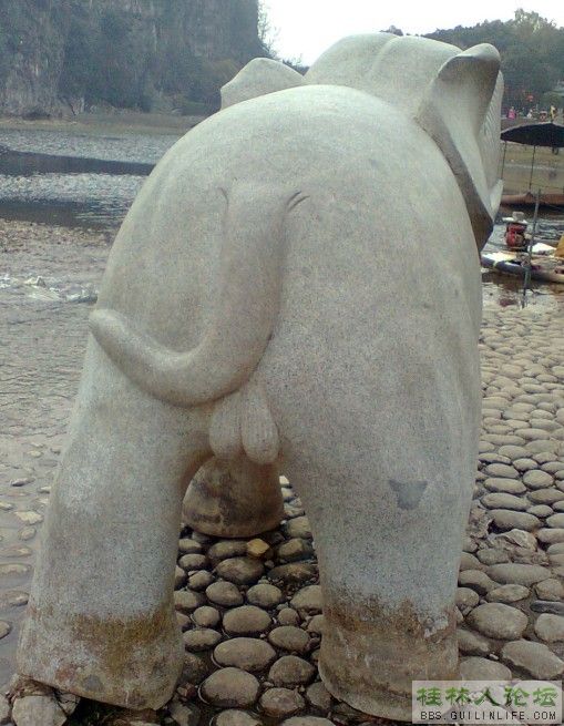 20111282233315805.jpg