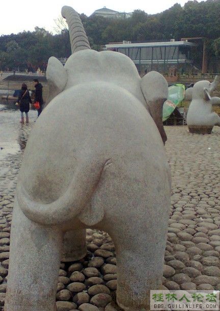 20111282235848438.jpg