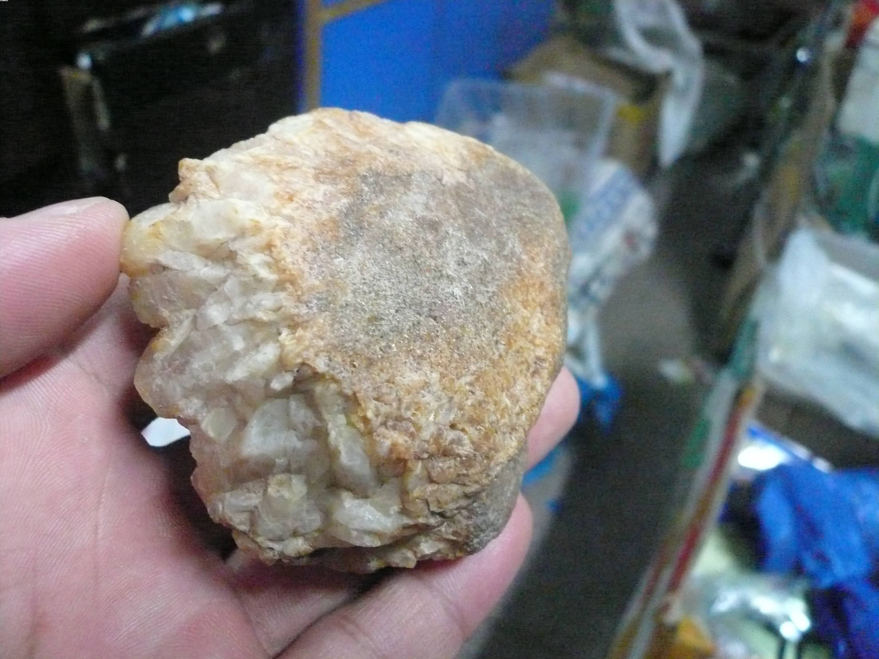 P1080157.JPG