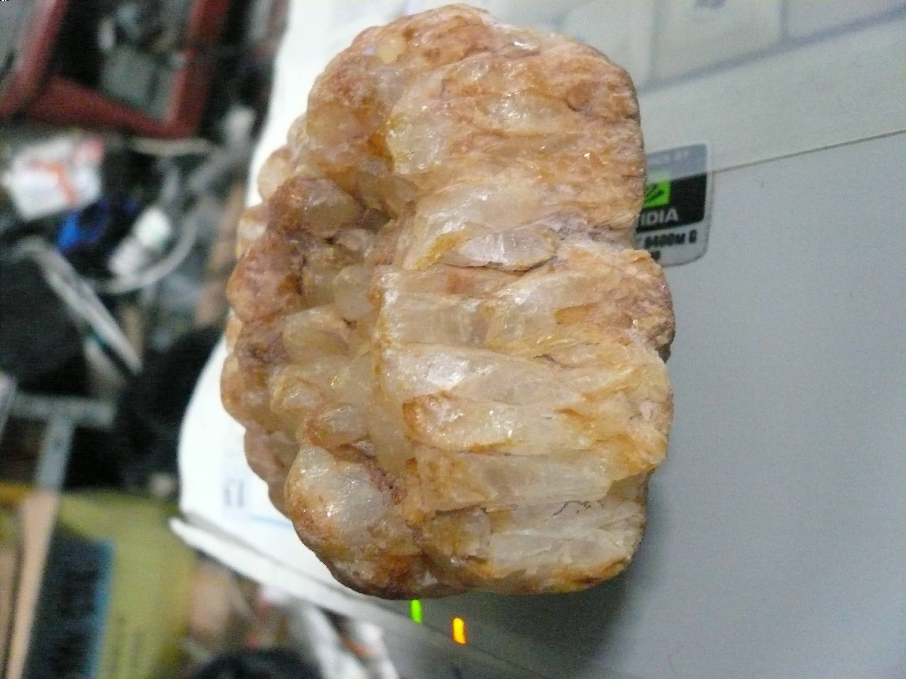 P1080155.JPG
