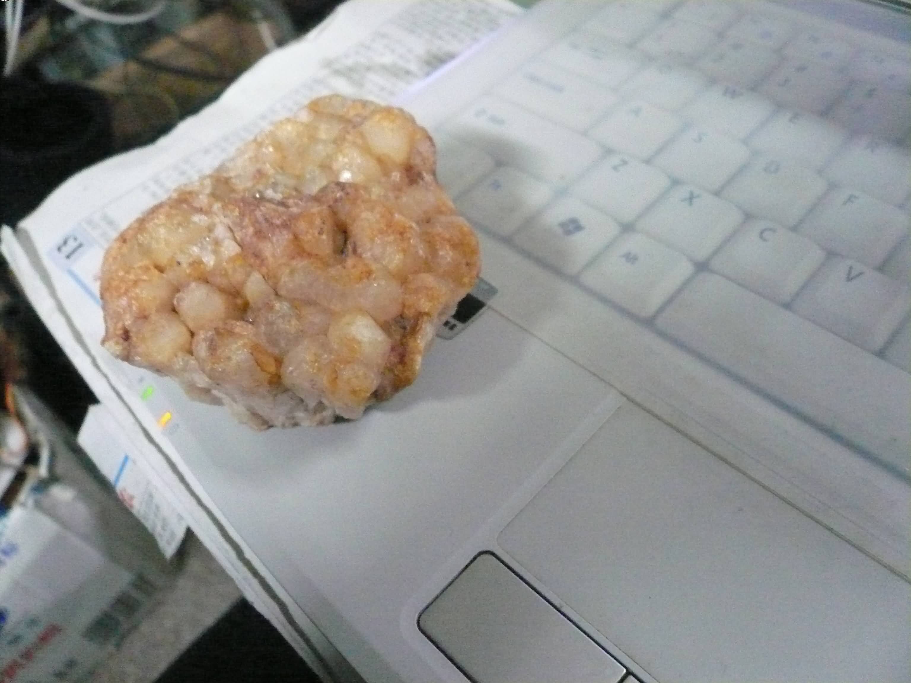 P1080149.JPG