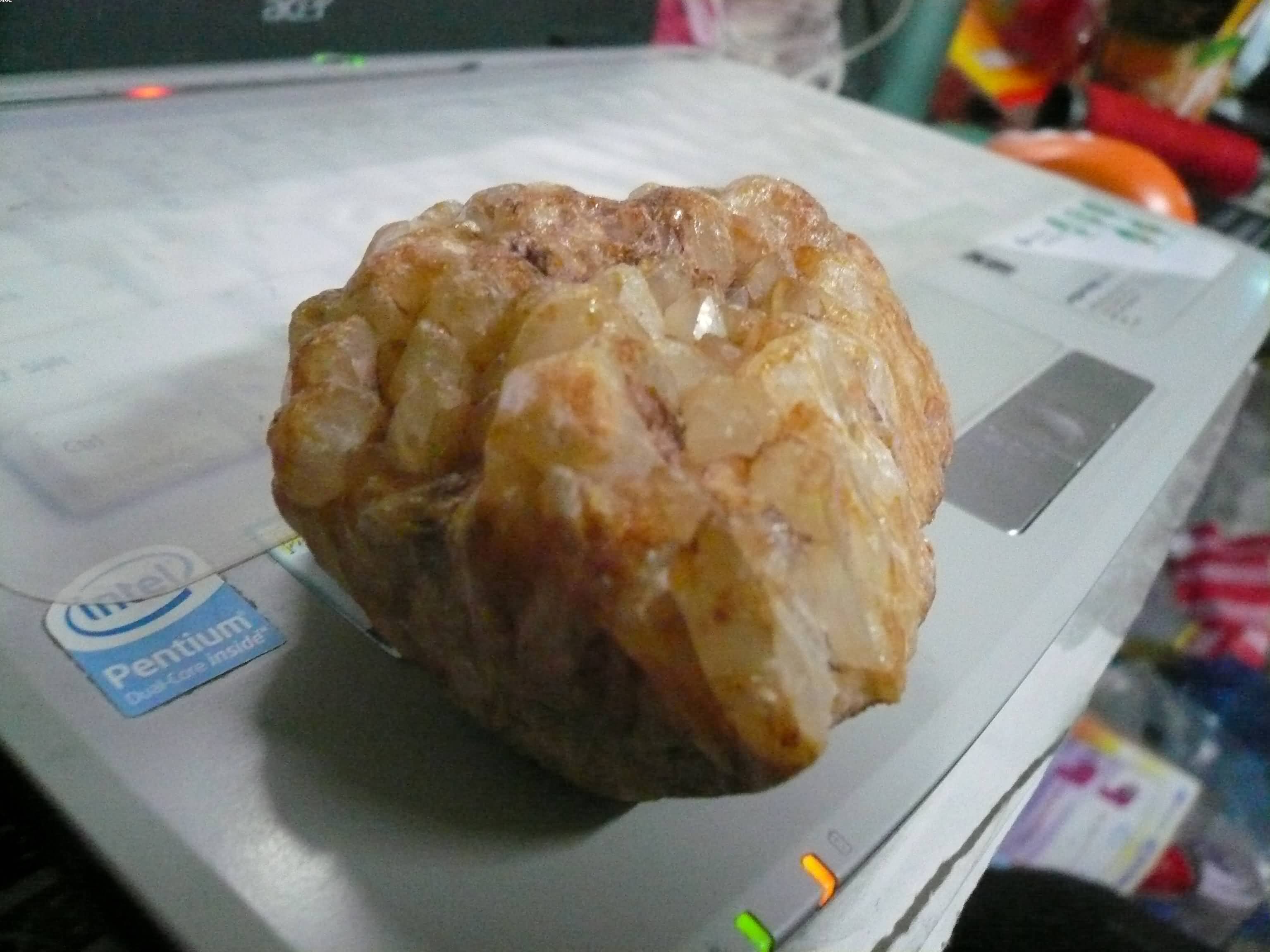 P1080147.JPG