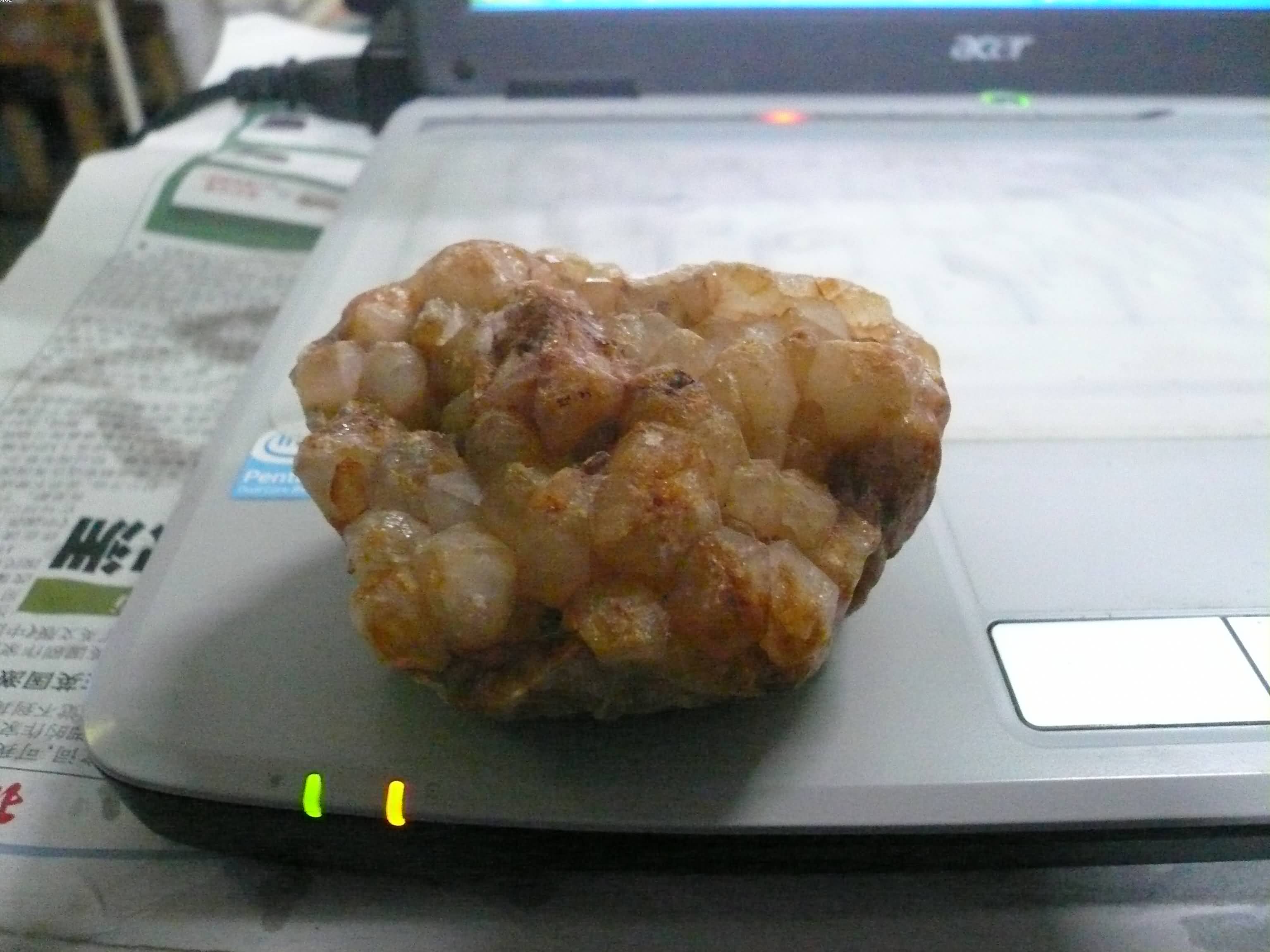 P1080146.JPG