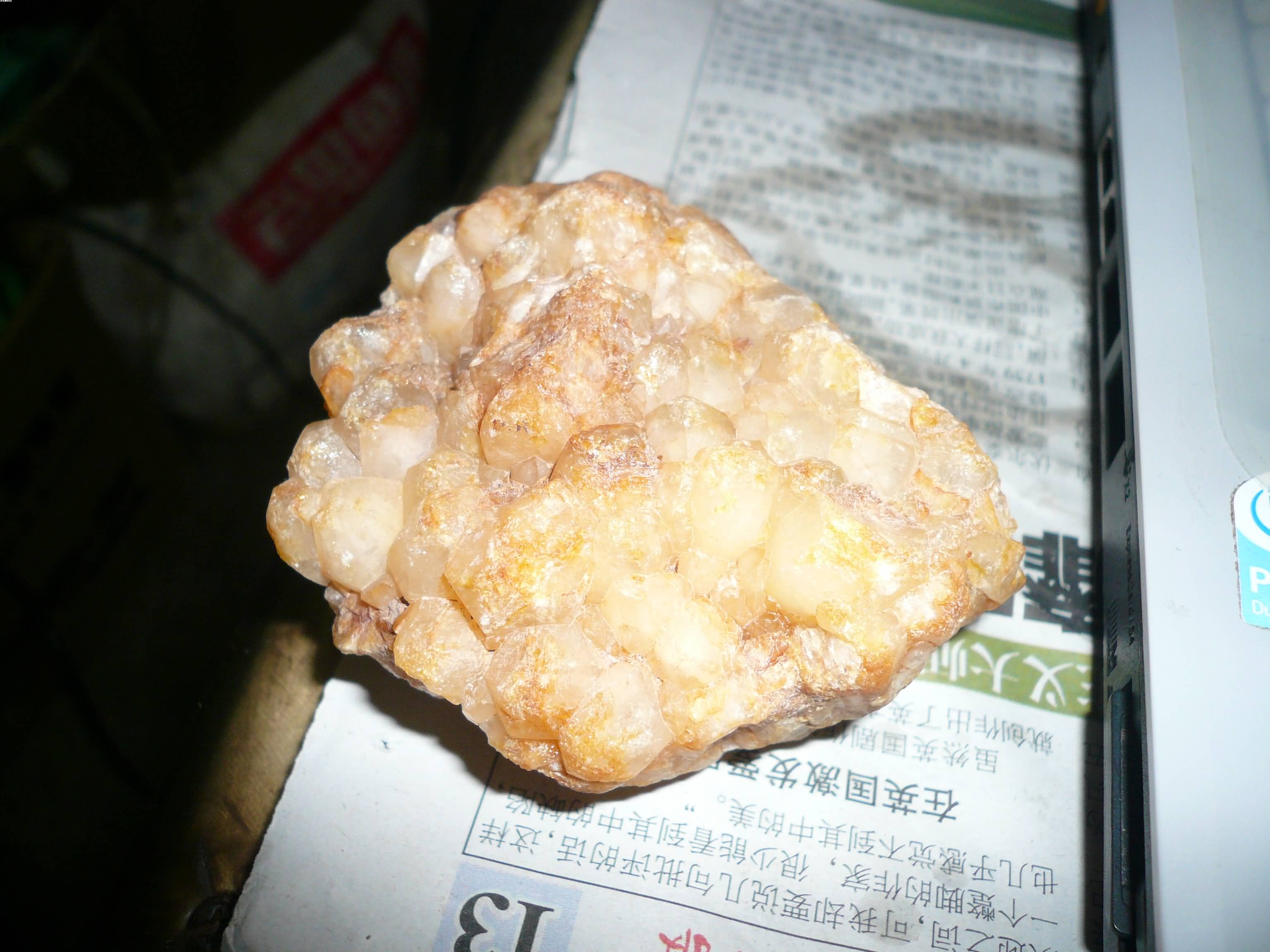P1080144.JPG