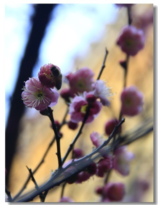 未命名-1.jpg