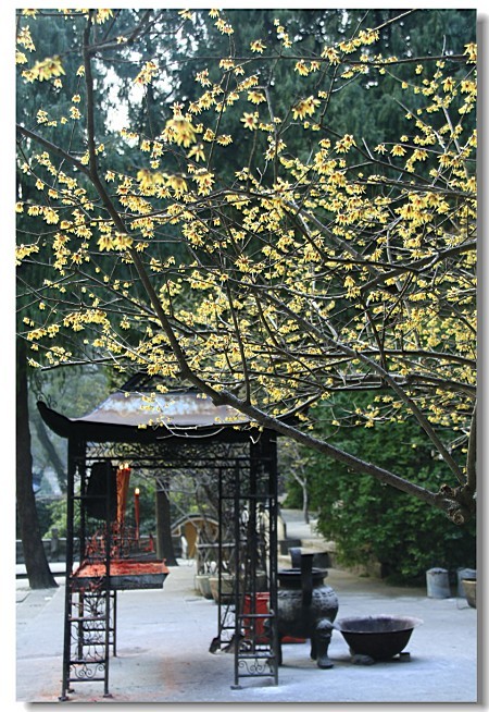 未命名-2.jpg