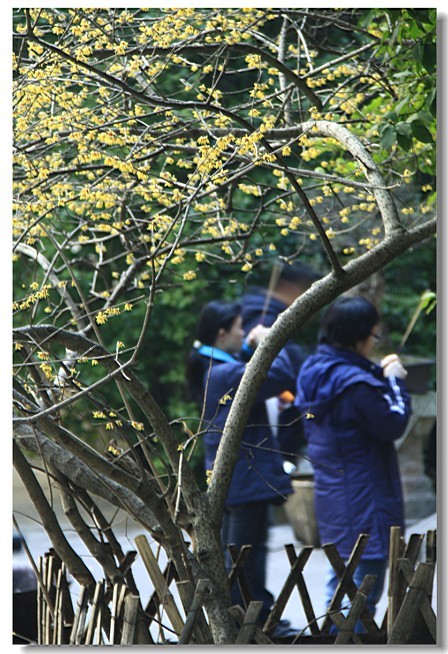 未命名-5.jpg