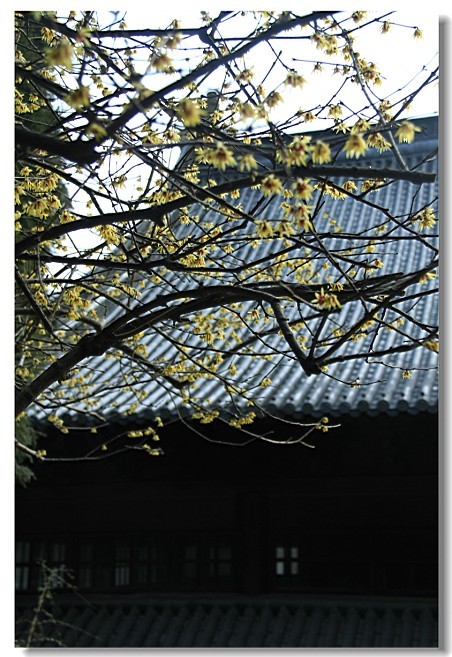 未命名-6.jpg