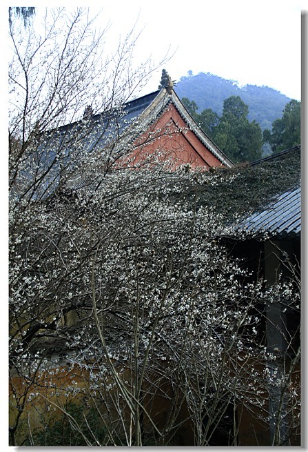 未命名-7.jpg