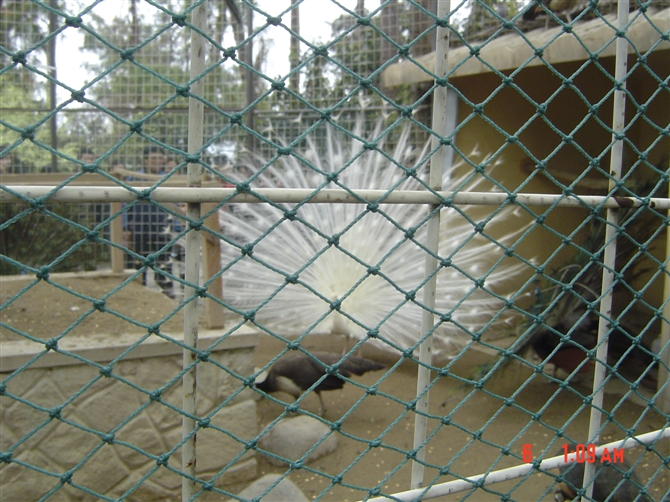 http_imgloadCA870P32.jpg