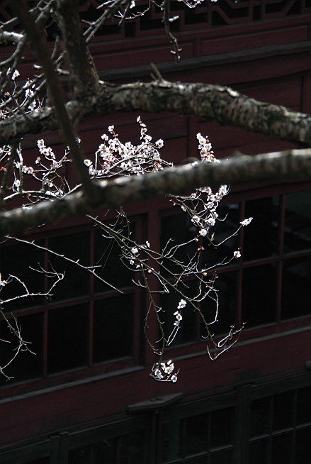 未命名-1.jpg