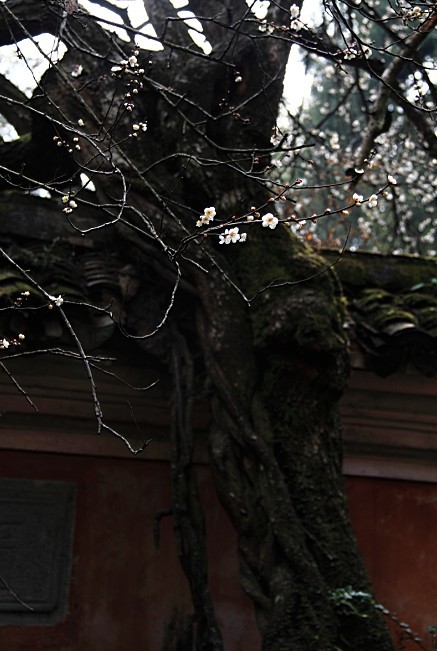 未命名-4.jpg