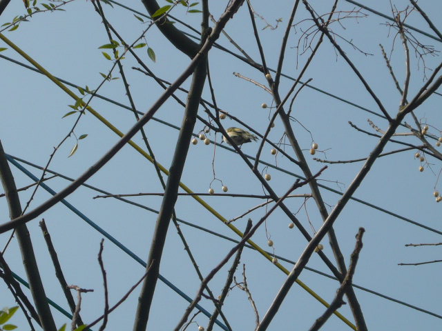 P1050582.JPG