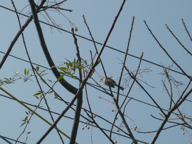 P1050584.JPG
