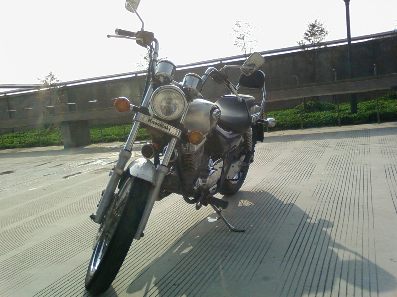 SP_A0461.jpg
