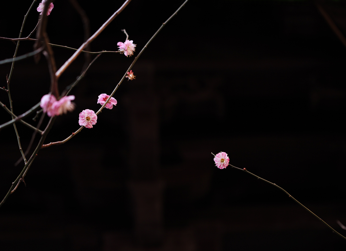 IMG_2848 副本.jpg