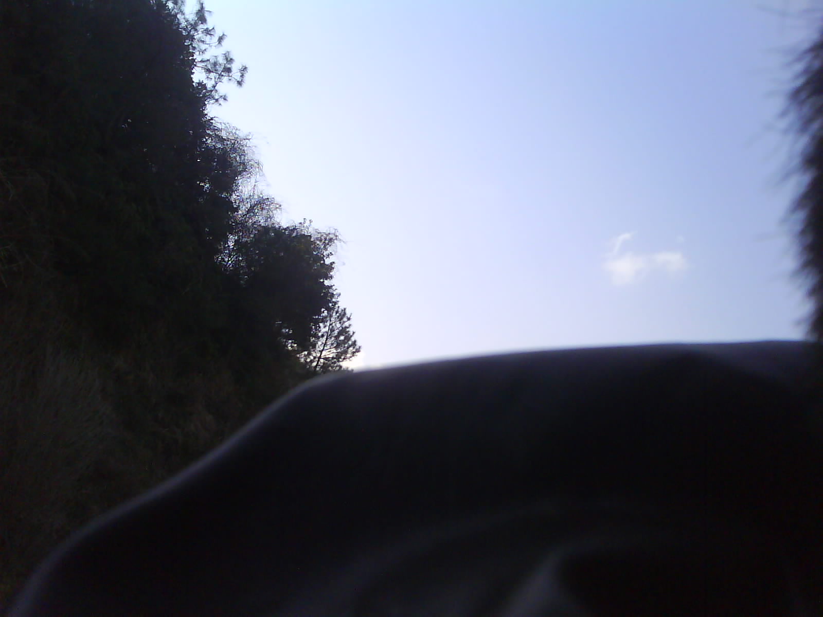 DSC01079.JPG