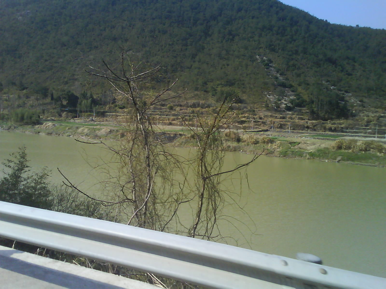 DSC01092.JPG