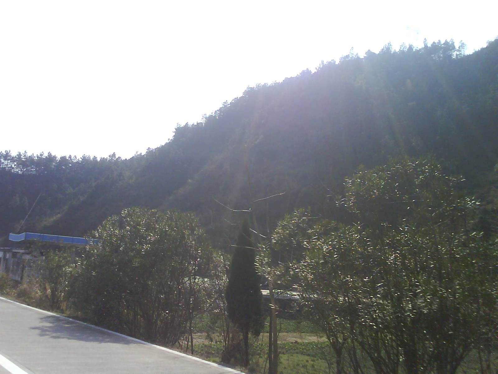 DSC01069.JPG