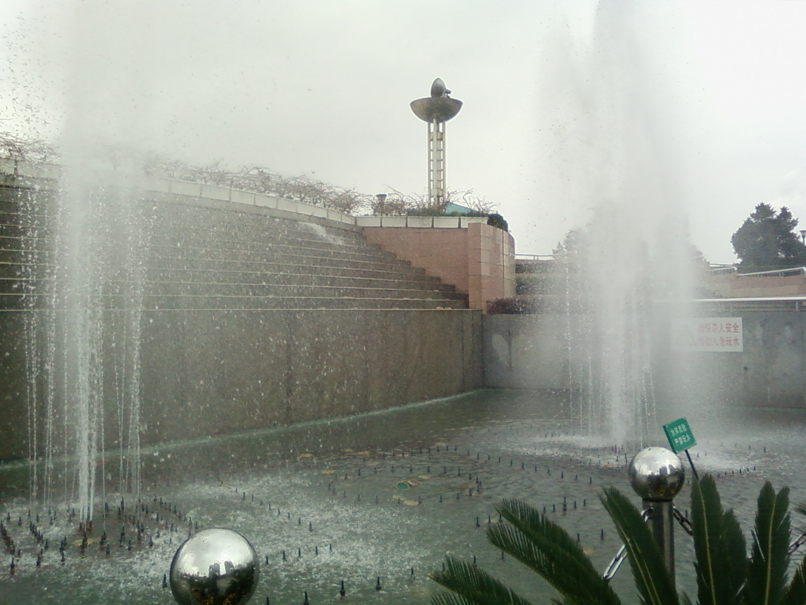 SP_A0585.jpg
