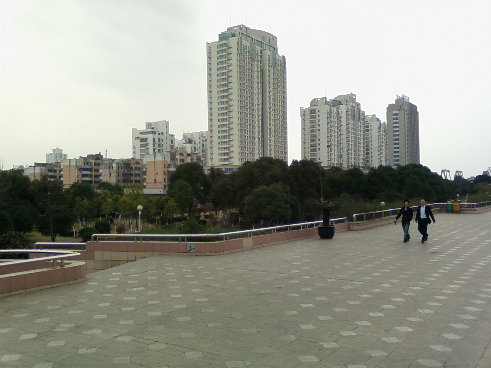 SP_A0590.jpg