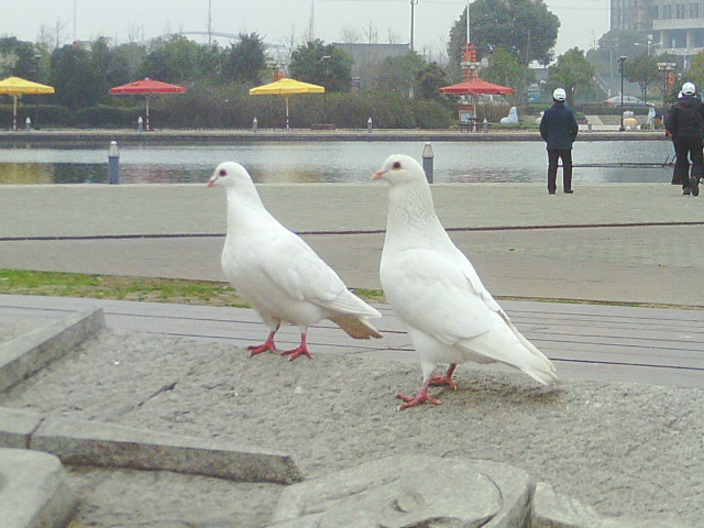 IMAG0343.JPG