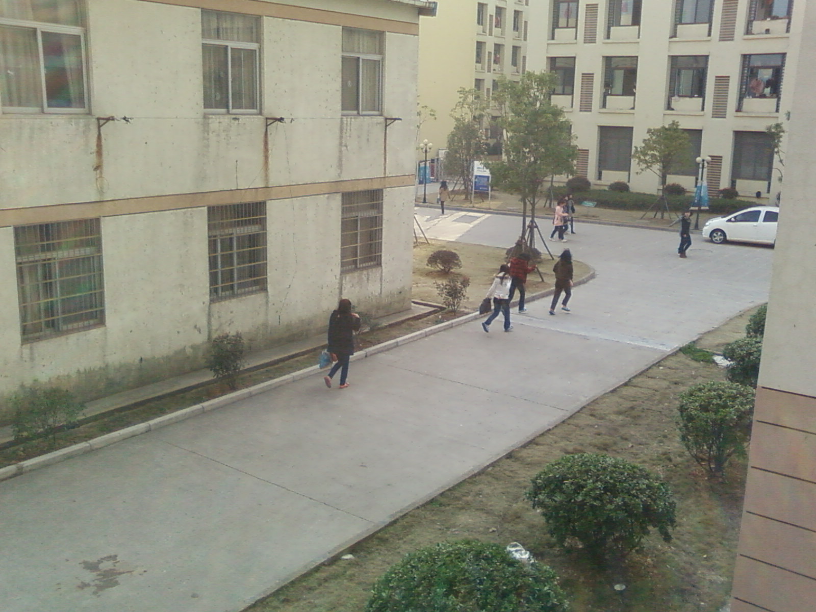 SP_A0659.jpg