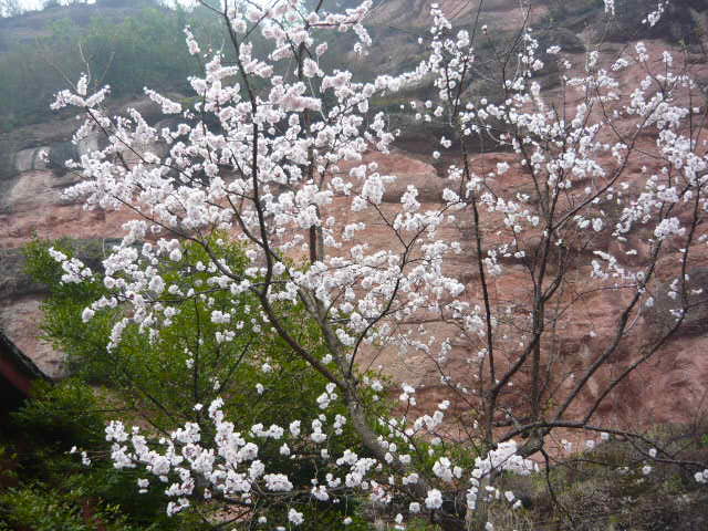 P1050753.JPG