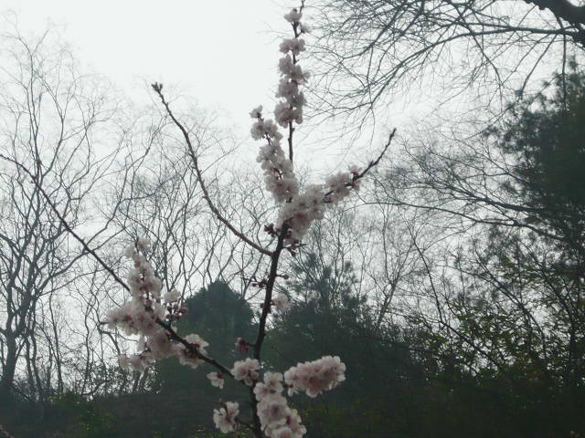 P1050755.JPG