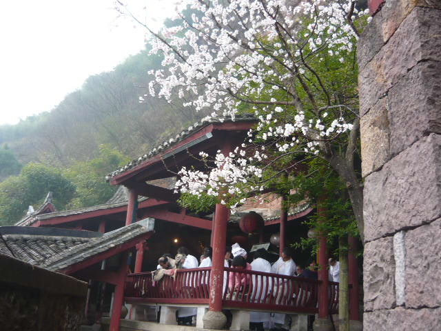 P1050756.JPG