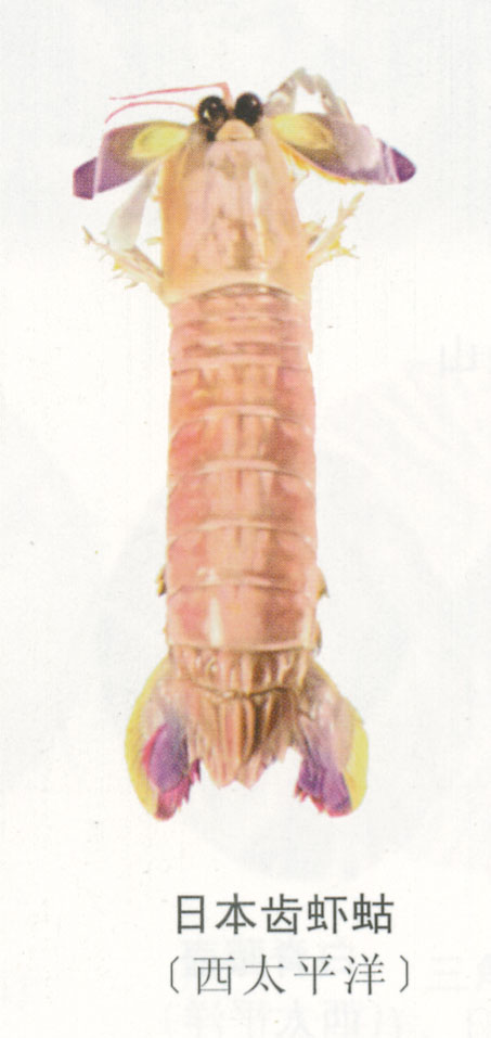 sw05790.jpg