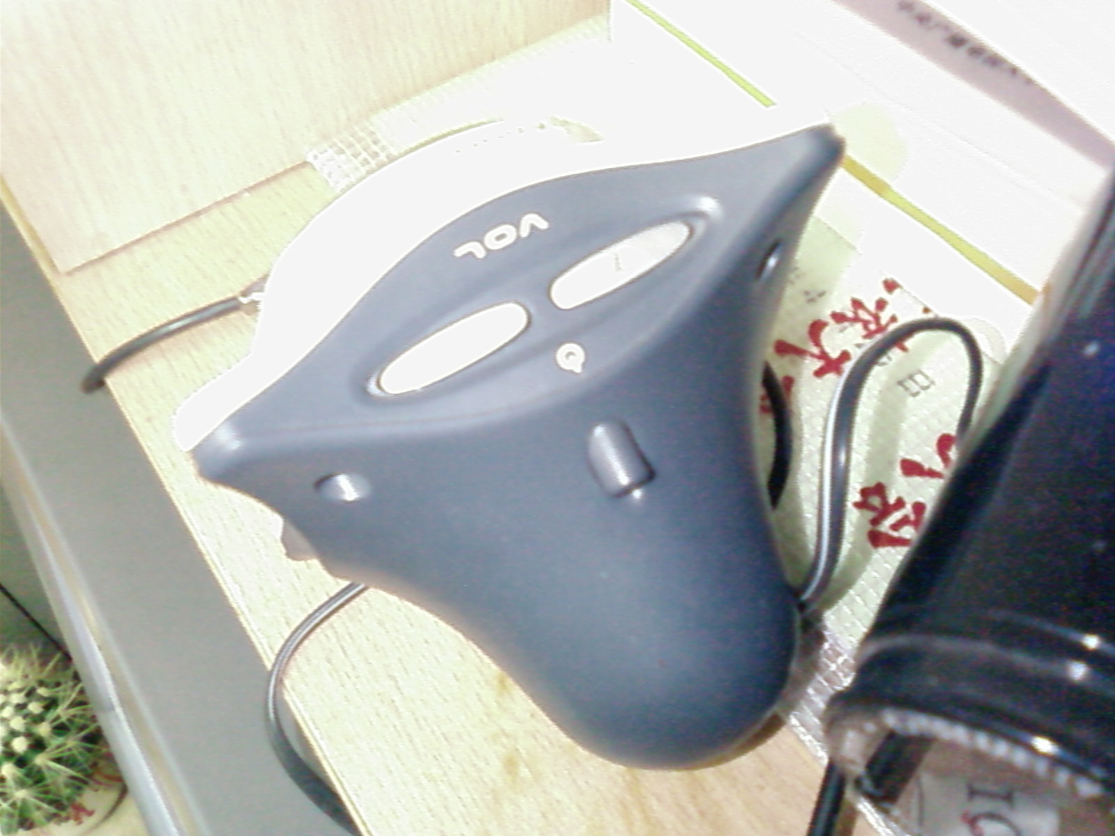 SP_A0676.jpg