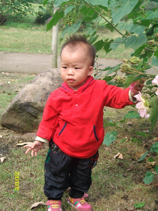 15.jpg