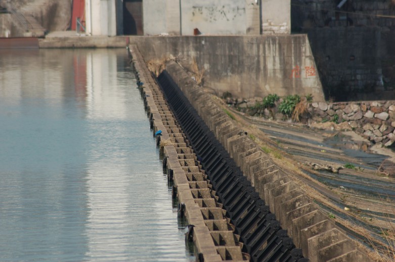 DSC_0088q.jpg