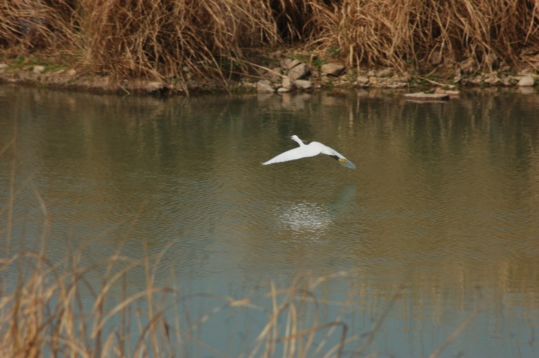 DSC_0053_.jpg