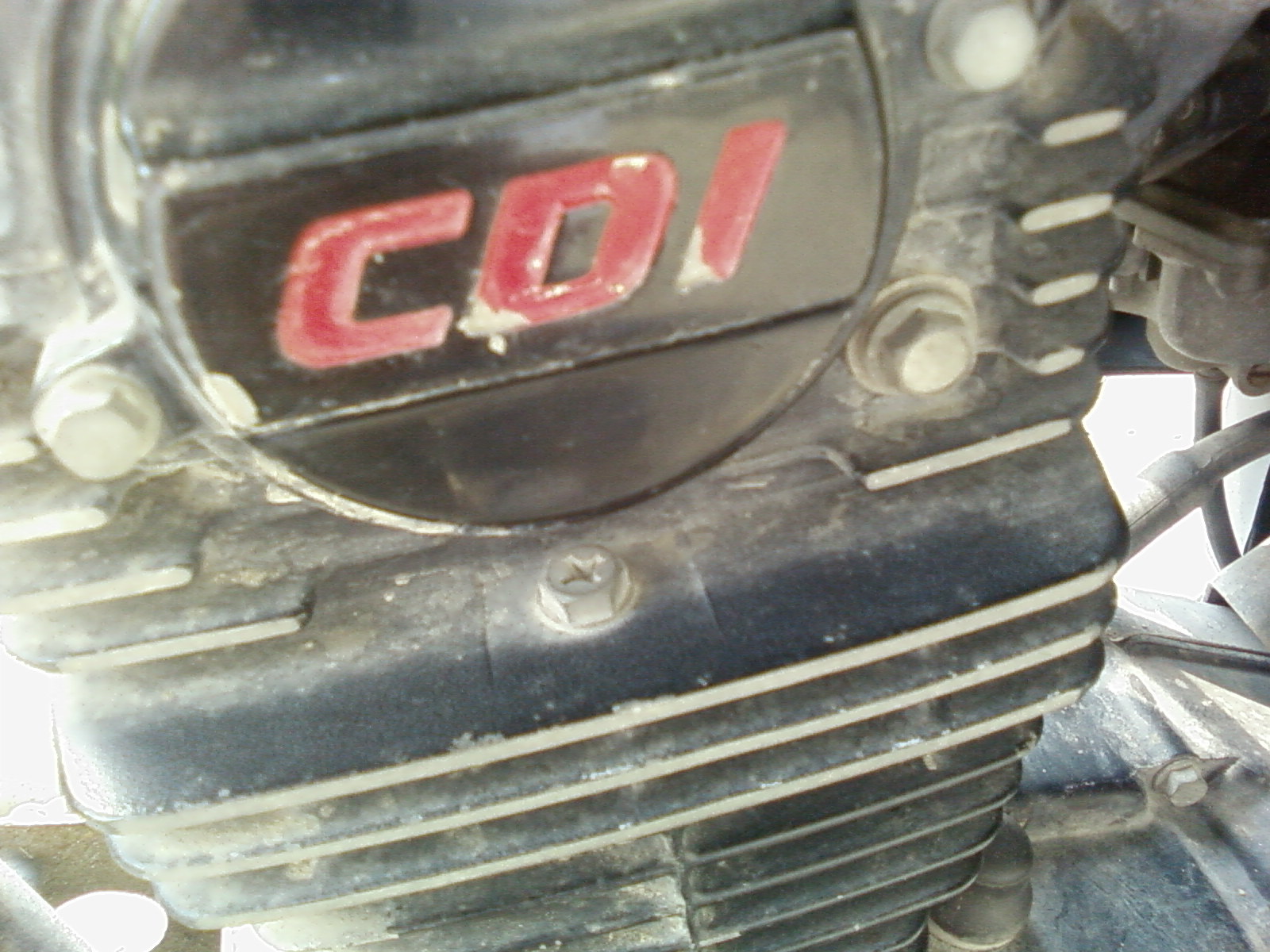 SP_A0955.jpg