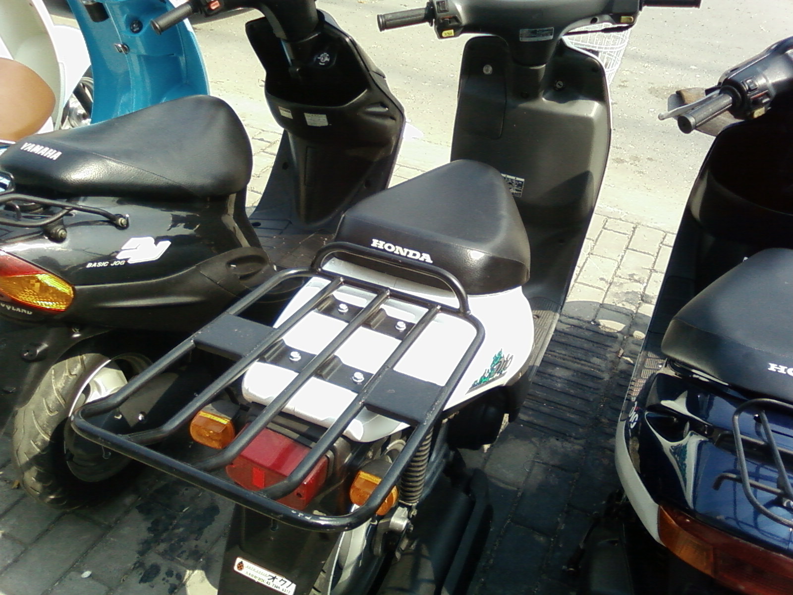 SP_A1133.jpg