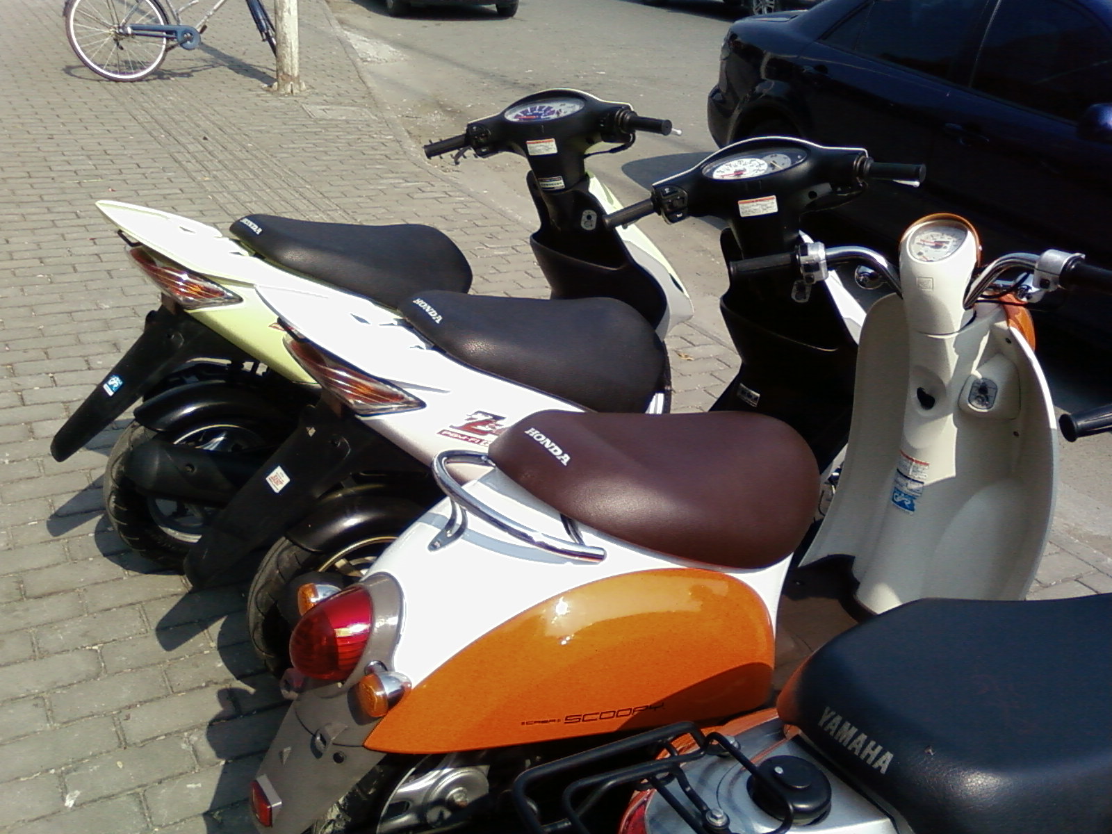 SP_A1134.jpg