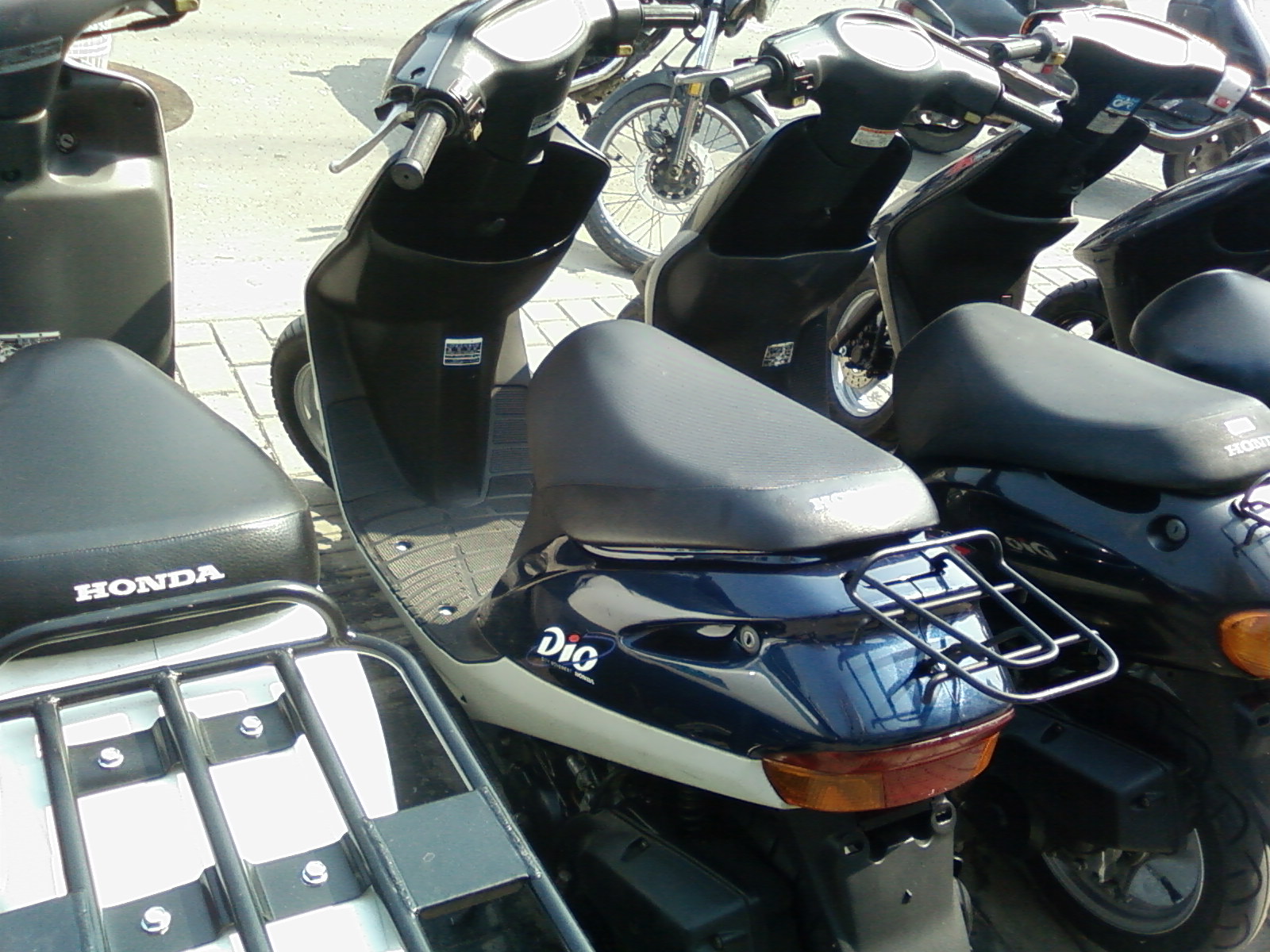 SP_A1135.jpg